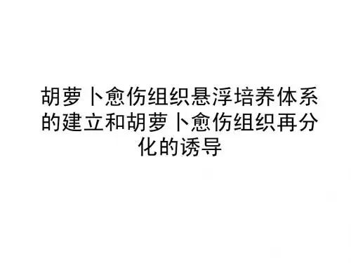 胡萝卜2013愈伤组织悬浮培养体系的建立和再分化的诱导1