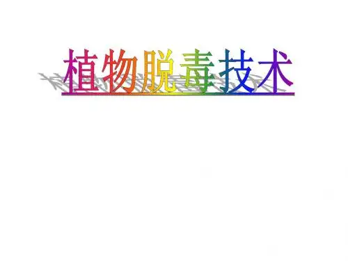 植物脱毒技术