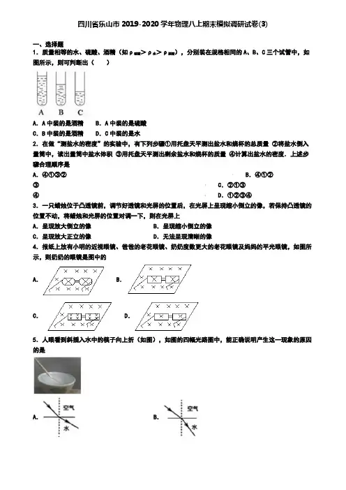 四川省乐山市2019-2020学年物理八上期末模拟调研试卷(3)