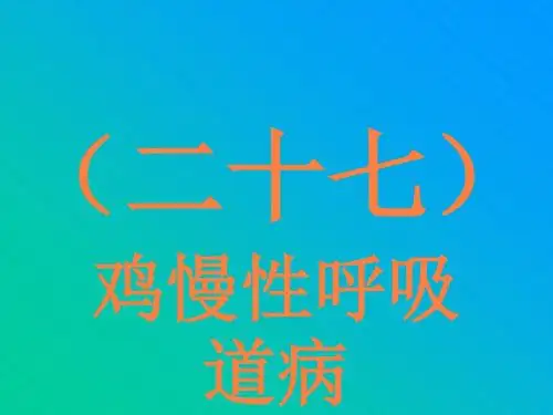 慢性呼吸道病PPT课件