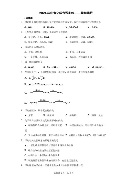 2024年中考化学专题训练——盐和化肥