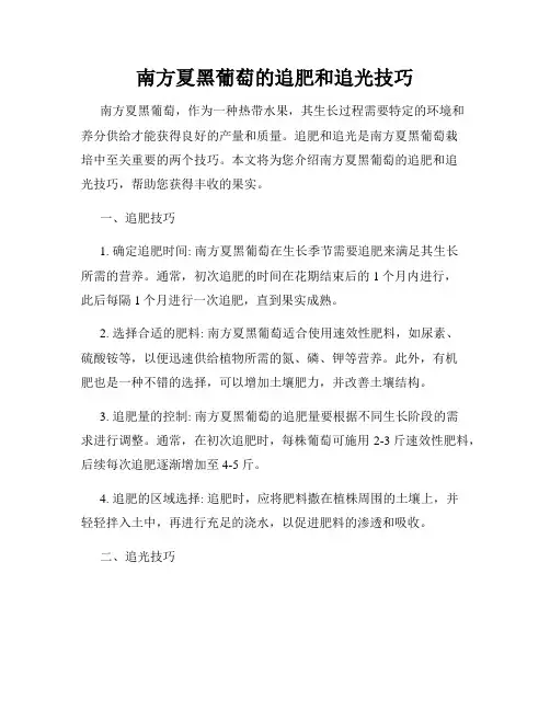 南方夏黑葡萄的追肥和追光技巧