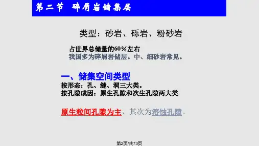 石油天然气地质碎屑岩碳酸盐储集层