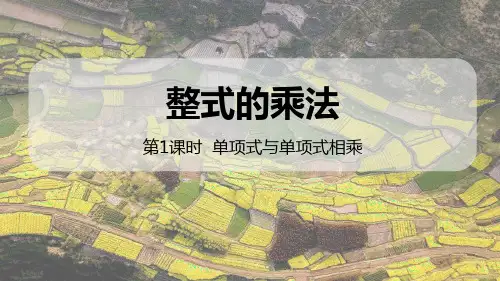 《整式的乘法与因式分解——整式的乘法》数学教学PPT课件(7篇)