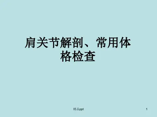 肩关节解剖、常用查体方法PPT课件