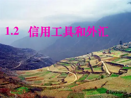 高一政治-信用工具和外汇课件-新人教版必修1