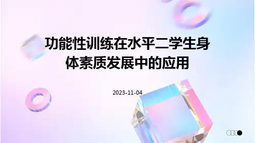 功能性训练在水平二学生身体素质发展中的应用