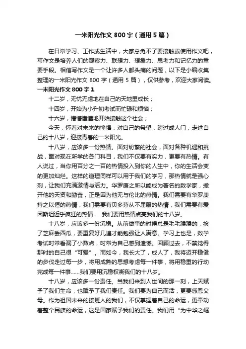 一米阳光作文800字（通用5篇）