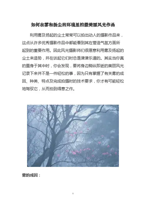 如何在雾和扬尘的环境里拍摄美丽风光作品