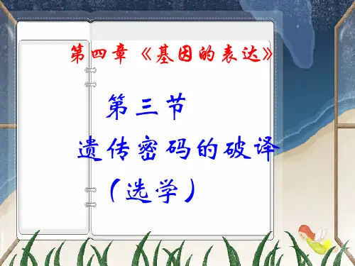2023人教版必修二第3节《遗传密码的破译(选学)》ppt