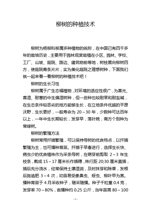 柳树的种植技术