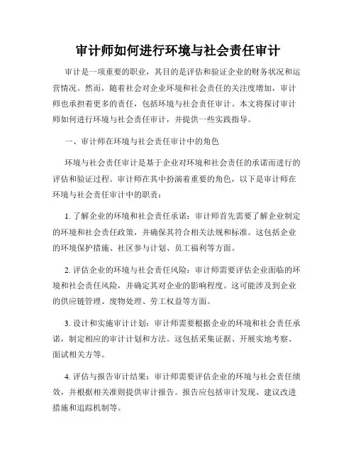 审计师如何进行环境与社会责任审计
