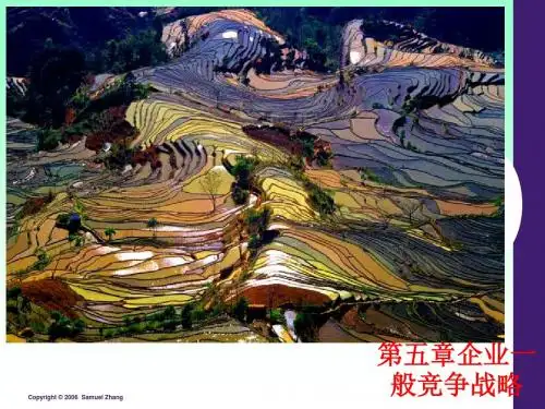 [课件]第五章企业一般竞争战略PPT