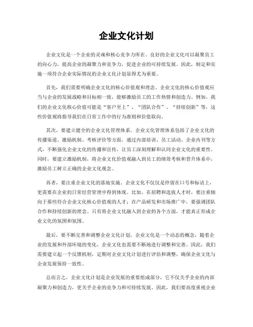 企业文化计划