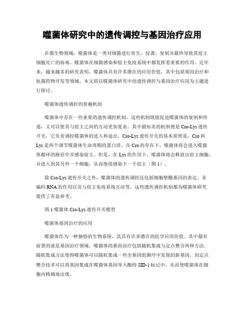 噬菌体研究中的遗传调控与基因治疗应用