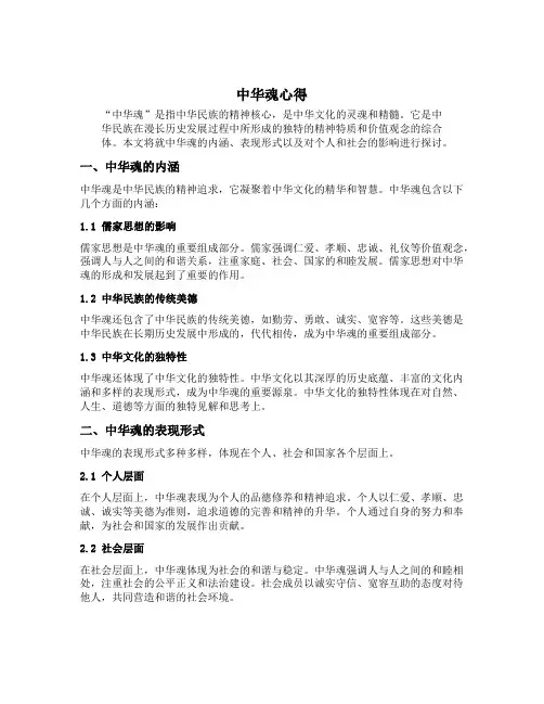 中华魂心得
