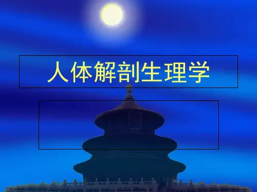 人体解剖生理学绪论
