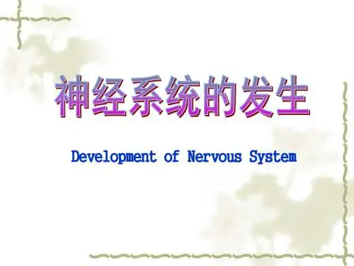 最新神经系统的发生-药学医学精品资料
