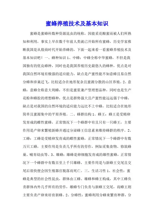 蜜蜂养殖技术及基本知识
