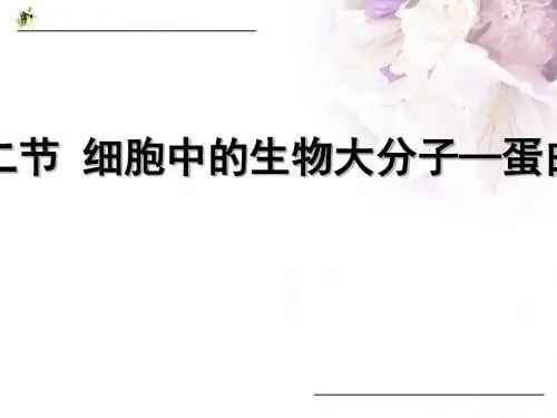 细胞中的生物大分子——蛋白质ppt