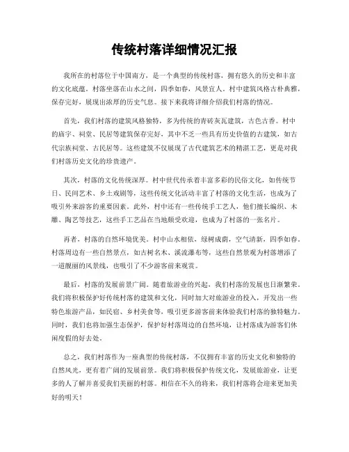 传统村落详细情况汇报