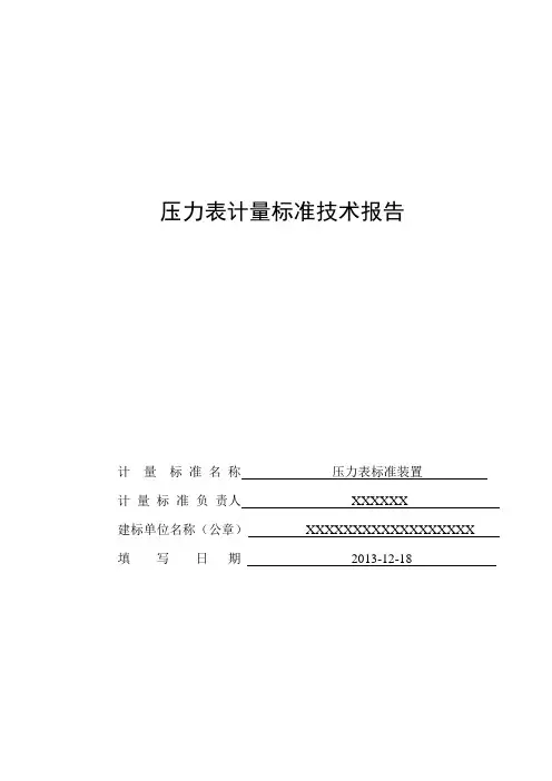 压力表技术报告