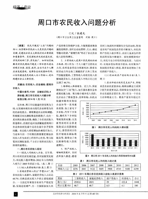 周口市农民收入问题分析