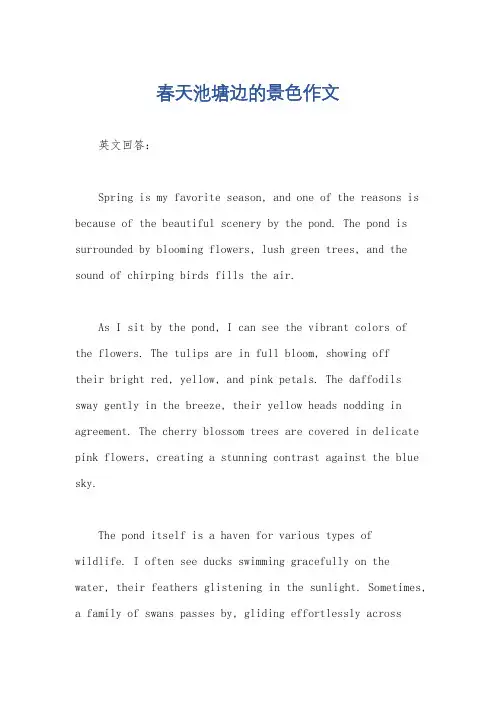 春天池塘边的景色作文