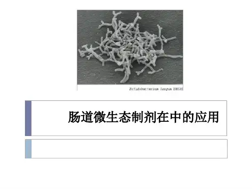 肠道微生态制剂在ICU中的应用