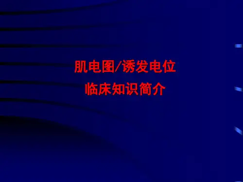 肌电图诱发电位临床知识简介
