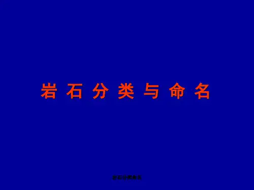 岩石分类命名 ppt课件