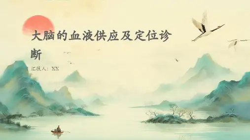 大脑的血液供应及定位诊断