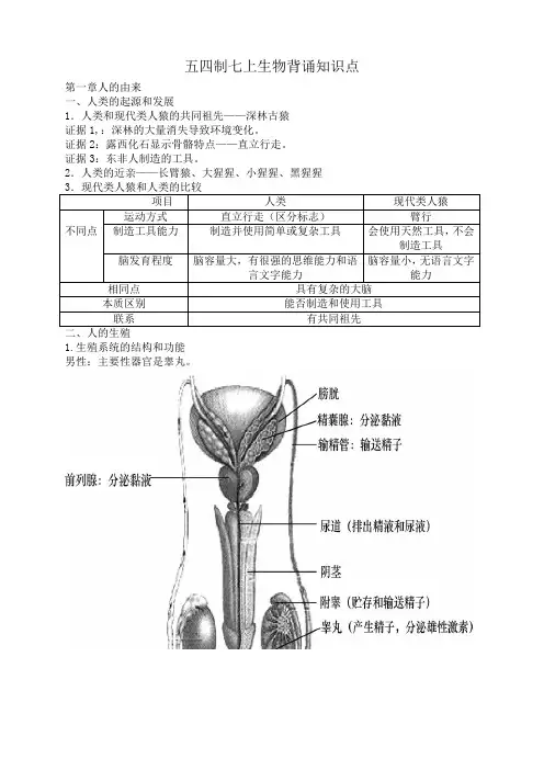鲁科版七年级上册生物知识点汇总