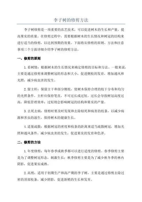 李子树的修剪方法