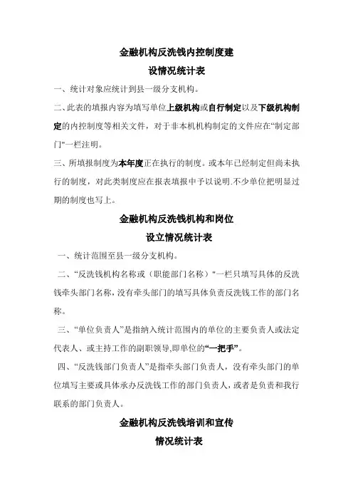 反洗钱报表填写说明