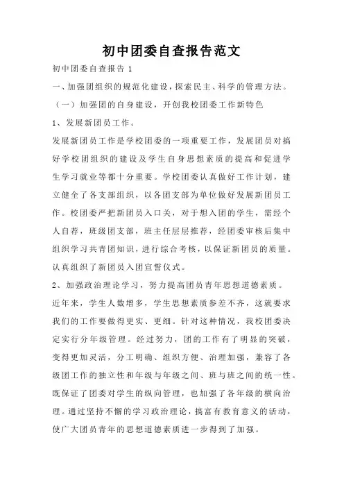 初中团委自查报告范文
