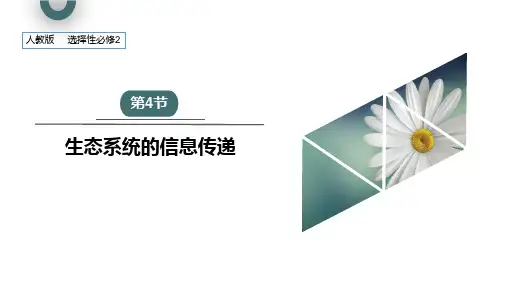 3-4 生态系统的信息传递 课件(25张)
