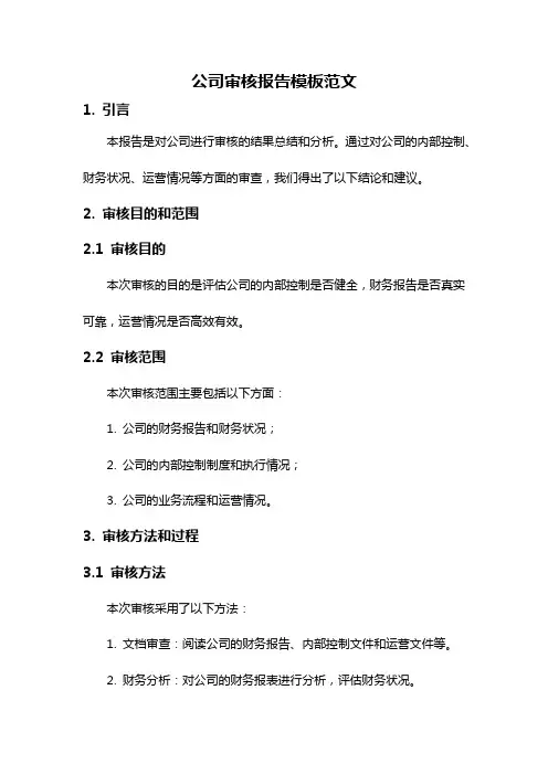 公司审核报告模板范文