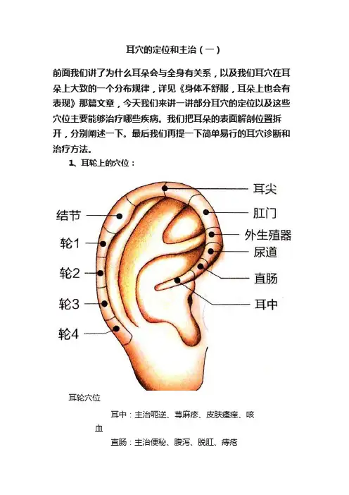 耳穴的定位和主治（一）