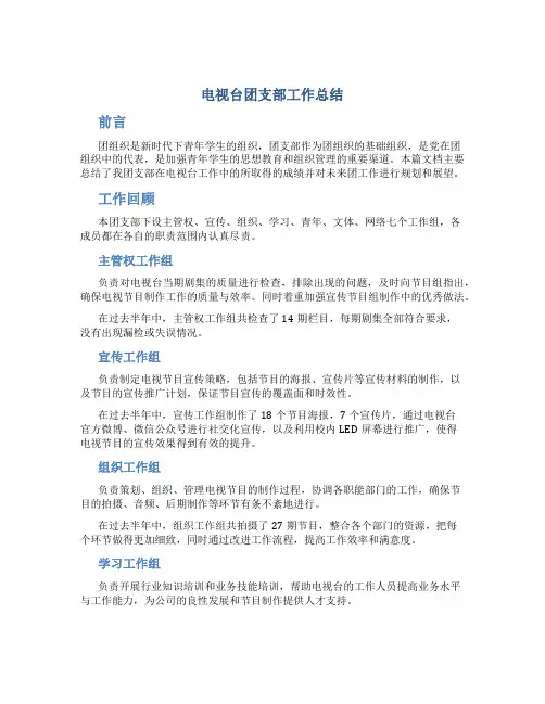 电视台团支部工作总结