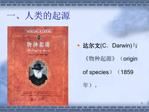 中国历史文明之史前文明