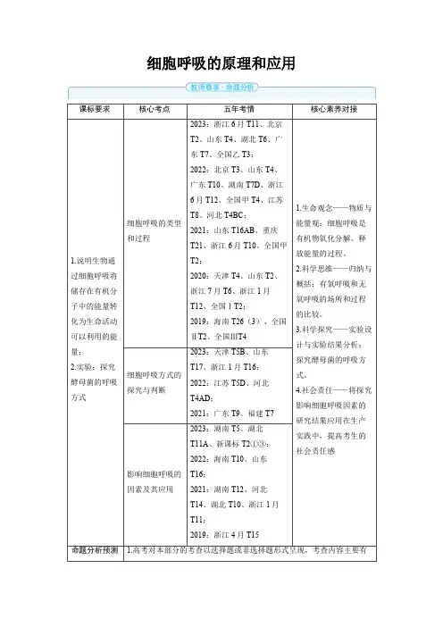 2025年高中生物高考精品备课教案：细胞呼吸的原理和应用