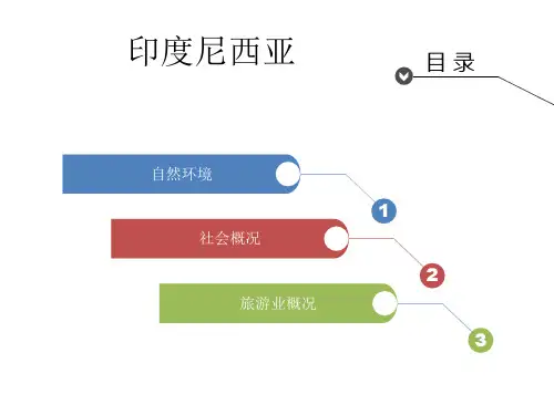 印度尼西亚
