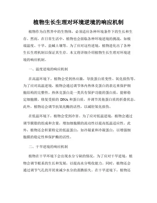 植物生长生理对环境逆境的响应机制