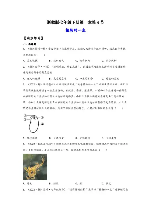 浙教版七年级科学下册同步精品课堂1.4植物的一生(练习)(原卷版+解析)