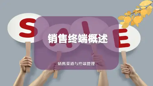 销售终端概述