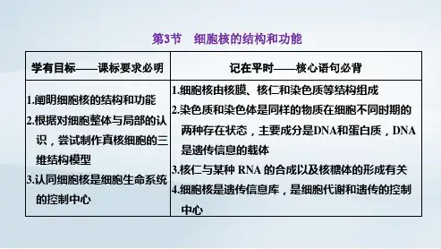 新教材高中生物第3章细胞的基本结构第3节细胞核的结构和功能pptx课件新人教版必修1