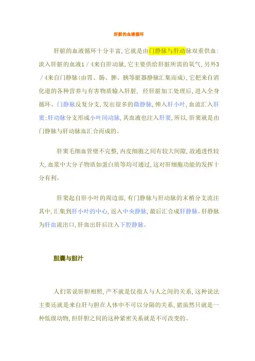 肝脏血液循环途径