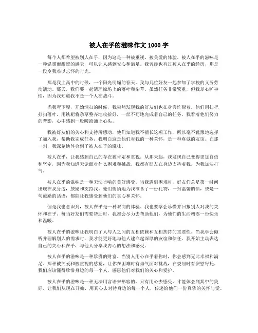被人在乎的滋味作文1000字