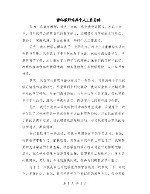 青年教师培养个人工作总结